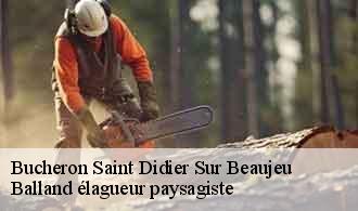 Bucheron  saint-didier-sur-beaujeu-69430 Balland élagueur paysagiste