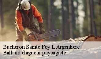 Bucheron  sainte-foy-l-argentiere-69610 Balland élagueur paysagiste