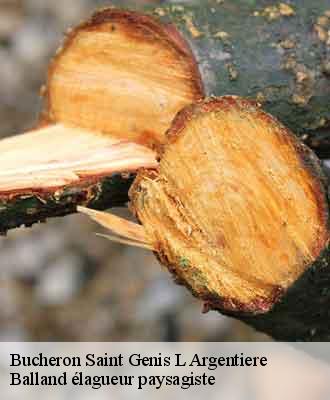 Bucheron  saint-genis-l-argentiere-69610 Balland élagueur paysagiste