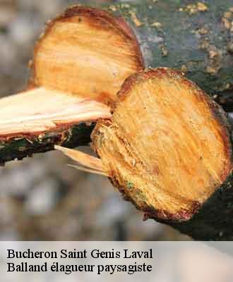 Bucheron  saint-genis-laval-69230 Balland élagueur paysagiste