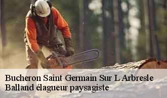 Bucheron  saint-germain-sur-l-arbresle-69210 Balland élagueur paysagiste