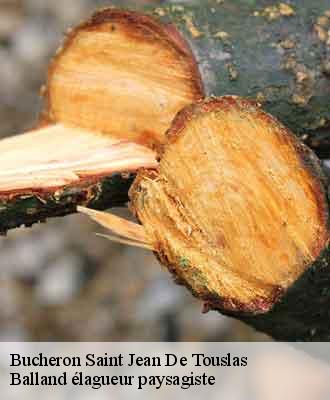 Bucheron  saint-jean-de-touslas-69700 Balland élagueur paysagiste
