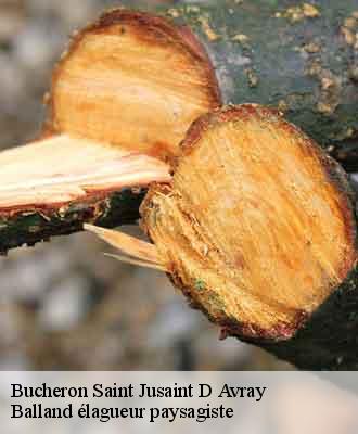 Bucheron  saint-jusaint-d-avray-69870 Balland élagueur paysagiste