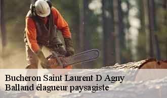 Bucheron  saint-laurent-d-agny-69440 Balland élagueur paysagiste