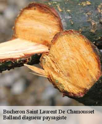 Bucheron saint-laurent-de-chamousset-69930 Balland élagueur paysagiste