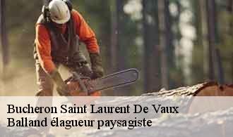 Bucheron  saint-laurent-de-vaux-69670 Balland élagueur paysagiste