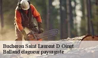 Bucheron saint-laurent-d-oingt-69620 Balland élagueur paysagiste