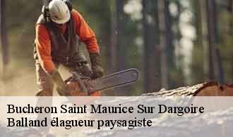 Bucheron  saint-maurice-sur-dargoire-69440 Balland élagueur paysagiste