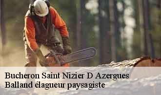 Bucheron  saint-nizier-d-azergues-69870 Balland élagueur paysagiste