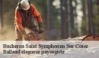 Bucheron  saint-symphorien-sur-coise-69590 Balland élagueur paysagiste