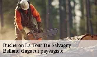 Bucheron  la-tour-de-salvagny-69890 Balland élagueur paysagiste