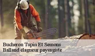 Bucheron  tupin-et-semons-69420 Balland élagueur paysagiste