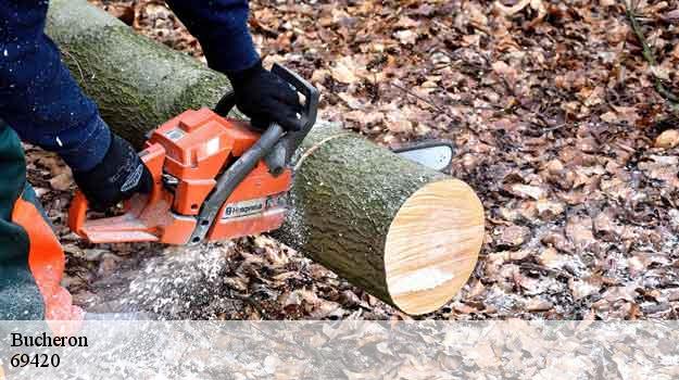 Bucheron  tupin-et-semons-69420 Balland élagueur paysagiste