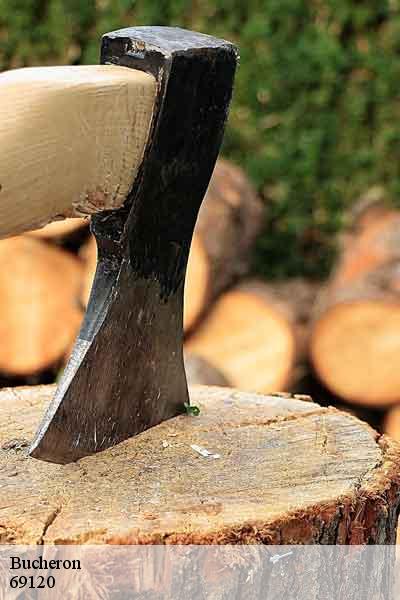 Bucheron  vaulx-en-velin-69120 Balland élagueur paysagiste