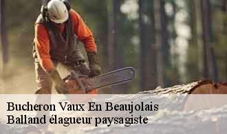 Bucheron vaux-en-beaujolais-69460 Balland élagueur paysagiste