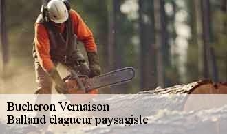 Bucheron  vernaison-69390 Balland élagueur paysagiste