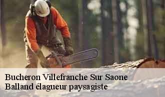 Bucheron  villefranche-sur-saone-69400 Balland élagueur paysagiste