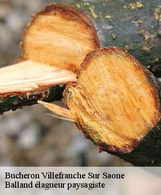 Bucheron  villefranche-sur-saone-69400 Balland élagueur paysagiste