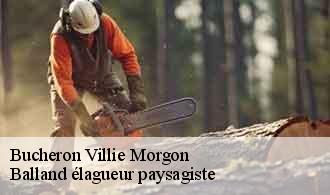 Bucheron  villie-morgon-69910 Balland élagueur paysagiste