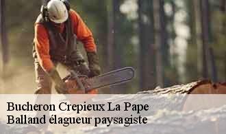 Bucheron crepieux-la-pape-69140 Balland élagueur paysagiste