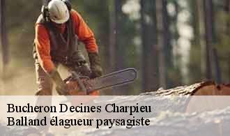 Bucheron  decines-charpieu-69150 Balland élagueur paysagiste
