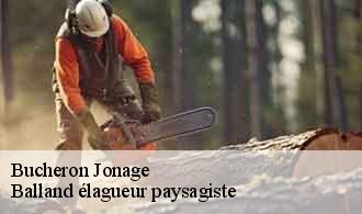 Bucheron  jonage-69330 Balland élagueur paysagiste