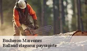 Bucheron  marennes-69970 Balland élagueur paysagiste