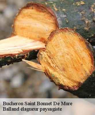 Bucheron  saint-bonnet-de-mure-69720 Balland élagueur paysagiste