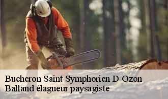 Bucheron  saint-symphorien-d-ozon-69360 Balland élagueur paysagiste