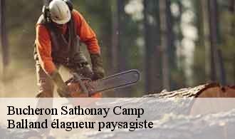 Bucheron  sathonay-camp-69580 Balland élagueur paysagiste
