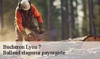 Bucheron  lyon-7-69007 Balland élagueur paysagiste