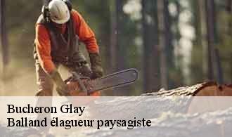 Bucheron  glay-69850 Balland élagueur paysagiste
