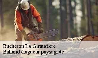 Bucheron  la-giraudiere-69690 Balland élagueur paysagiste