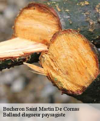 Bucheron  saint-martin-de-cornas-69700 Balland élagueur paysagiste