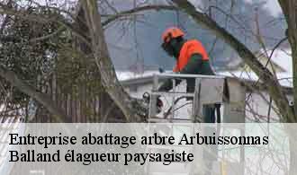 Entreprise abattage arbre  arbuissonnas-69460 Balland élagueur paysagiste