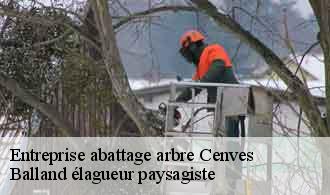 Entreprise abattage arbre  cenves-69840 Balland élagueur paysagiste