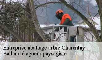 Entreprise abattage arbre  charentay-69220 Balland élagueur paysagiste