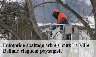 Entreprise abattage arbre cours-la-ville-69470 Balland élagueur paysagiste