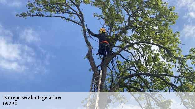 Entreprise abattage arbre  craponne-69290 Balland élagueur paysagiste