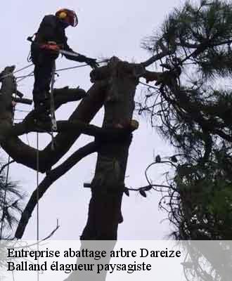 Entreprise abattage arbre  dareize-69490 Balland élagueur paysagiste