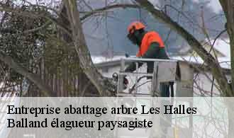 Entreprise abattage arbre  les-halles-69610 Balland élagueur paysagiste