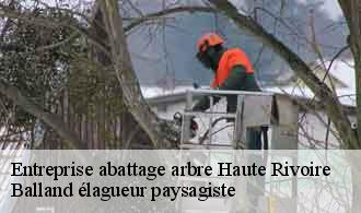 Entreprise abattage arbre  haute-rivoire-69610 Balland élagueur paysagiste