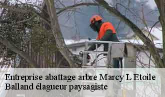 Entreprise abattage arbre  marcy-l-etoile-69280 Balland élagueur paysagiste