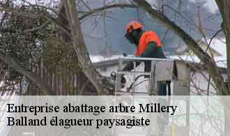 Entreprise abattage arbre  millery-69390 Balland élagueur paysagiste