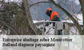 Entreprise abattage arbre  montrottier-69770 Balland élagueur paysagiste