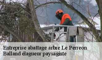 Entreprise abattage arbre  le-perreon-69460 Balland élagueur paysagiste