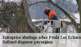 Entreprise abattage arbre  poule-les-echarmeaux-69870 Balland élagueur paysagiste