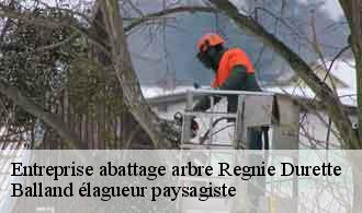 Entreprise abattage arbre  regnie-durette-69430 Balland élagueur paysagiste