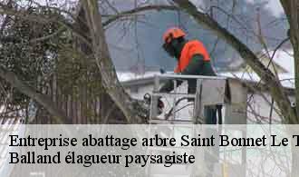 Entreprise abattage arbre  saint-bonnet-le-troncy-69870 Balland élagueur paysagiste