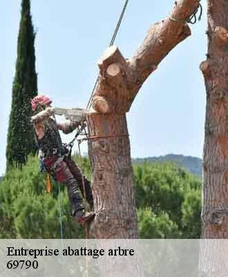 Entreprise abattage arbre  saint-clement-de-vers-69790 Balland élagueur paysagiste